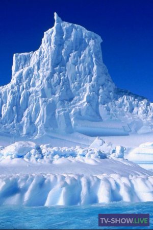 Антарктида. 200 лет мира (02-02-2020)
