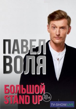 Большой Stand-Up Павла Воли (08-02-2020)