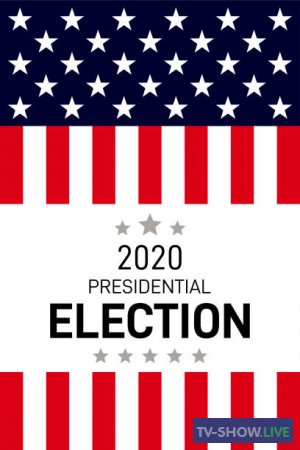 Выборы президента в США. Прямая трансляция из Нью-Йорка (03-11-2020)
