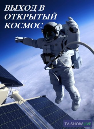 Выход в открытый космос. Прямая трансляция (18-11-2020)