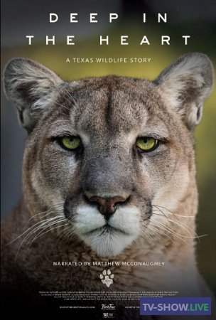 Глубоко в сердце: история дикой природы Техаса (2022)
