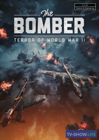 Террор бомбардировщиков Второй мировой войны (2022)