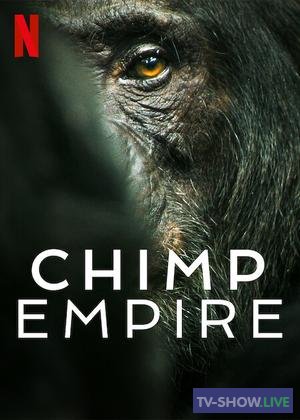 Империя шимпанзе (2023)