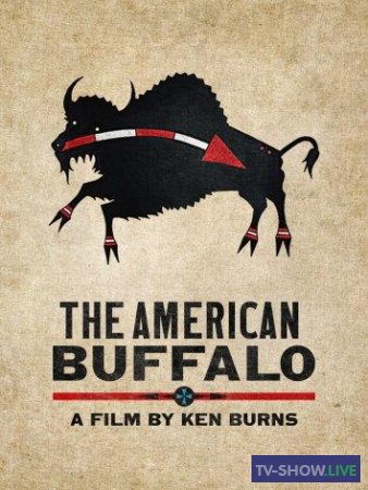 Американский буйвол 1 сезон (2023)
