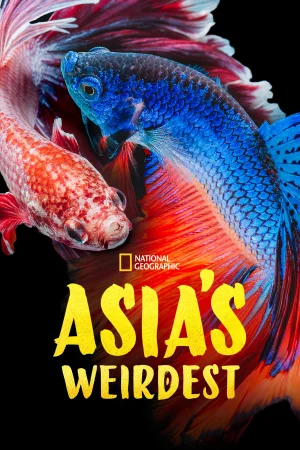 Причуды дикой природы Азии (2021)